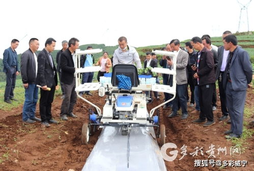 科技赋能农业 威宁高效农业生产技术软件开发的探索与实践